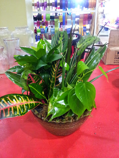 Florist «Cypress Flowers», reviews and photos, 14419 Huffmeister Rd, Cypress, TX 77429, USA