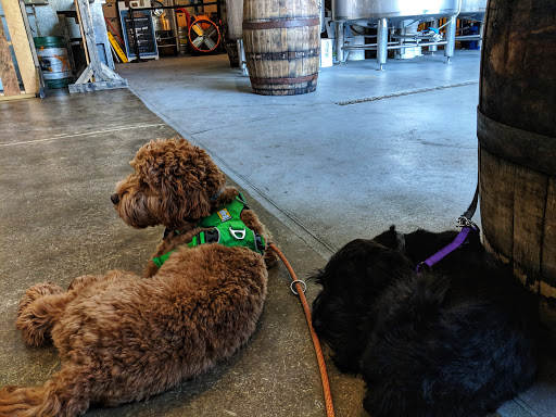 Brewery «Begyle Brewing Company», reviews and photos, 1800 W Cuyler Ave, Chicago, IL 60613, USA