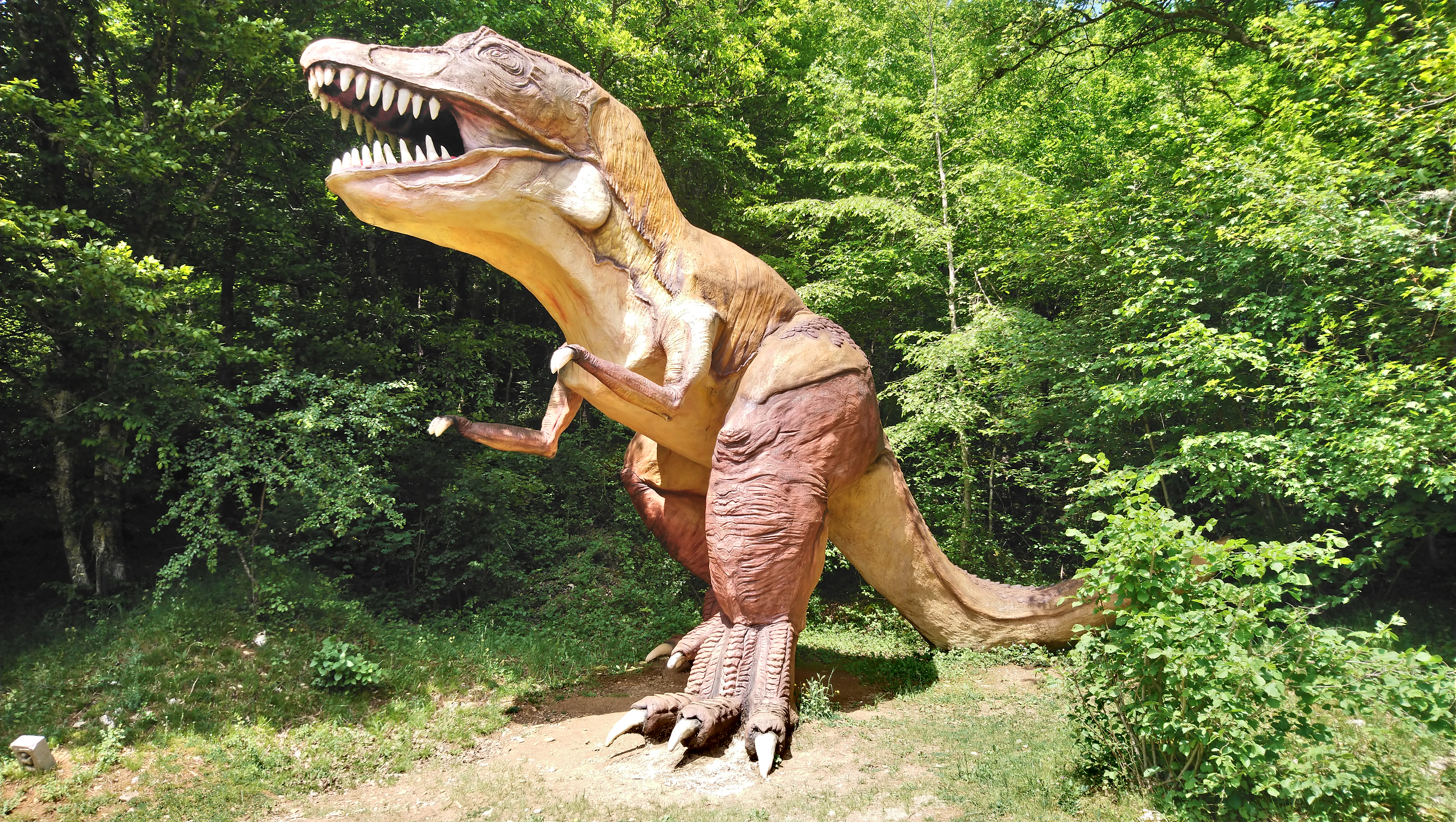 Photo n° 4 de l'avis de Paulo. fait le 09/05/2018 à 12:46