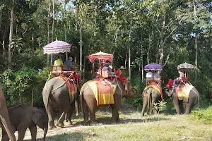 ปางช้างเผือกเชียงราย chang puak camp chiang rai image