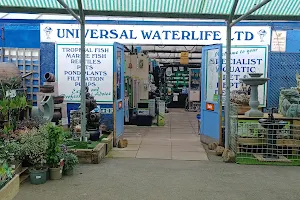 Universal Waterlife image