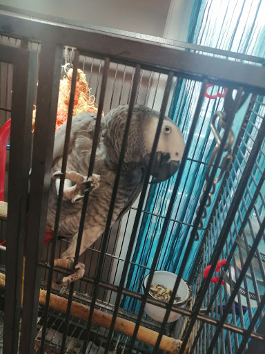 Shopping Mall «Somerset Hills Shopping Center», reviews and photos, 766 Rte 202/206, Bridgewater, NJ 08807, USA