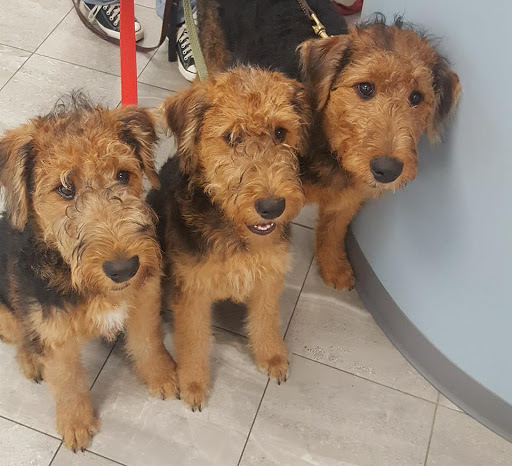 163 South St, Blue Hill, ME 04614, USA