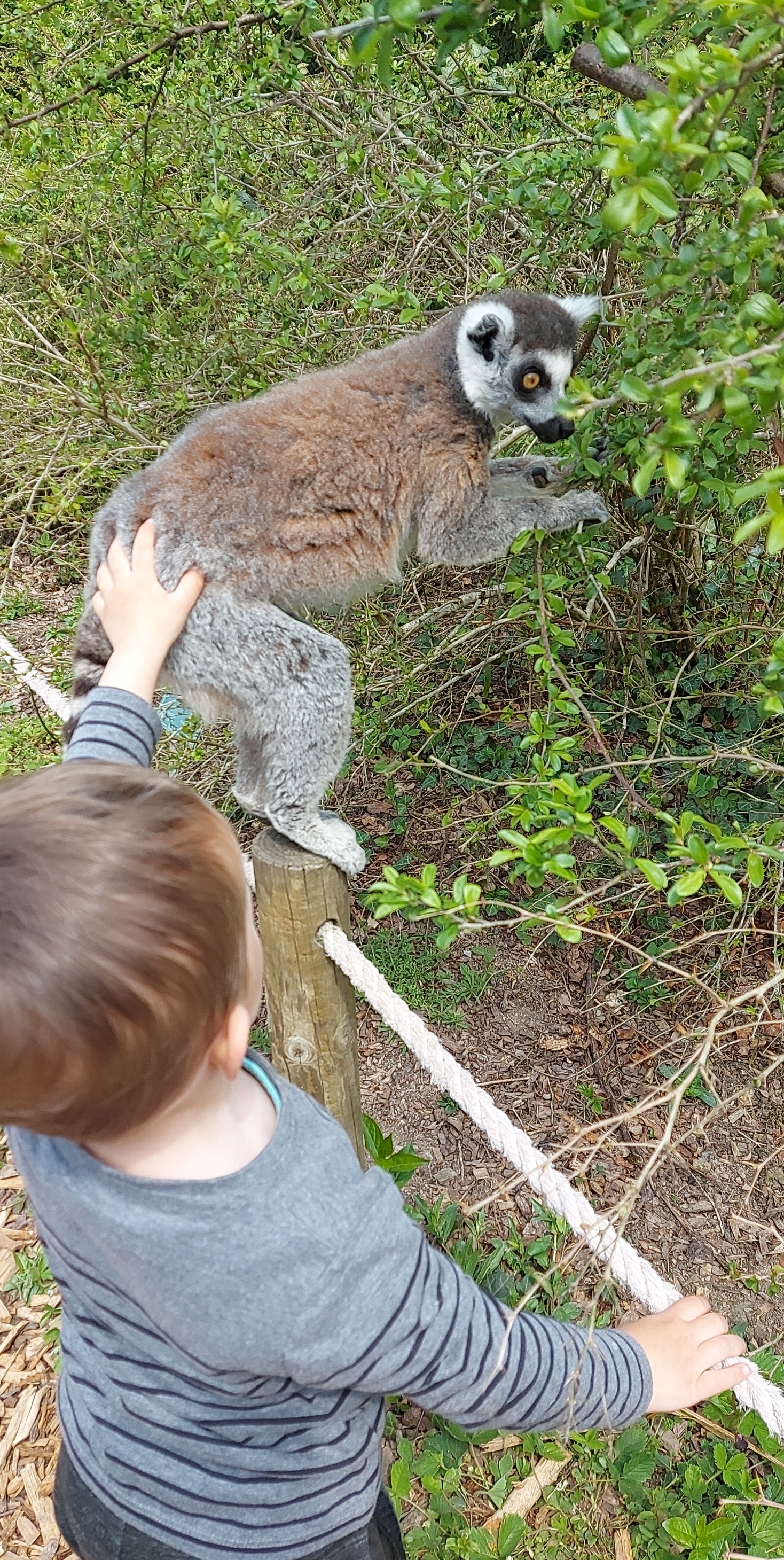 Photo n° 21 de l'avis de Mél.i fait le 21/04/2022 à 16:37