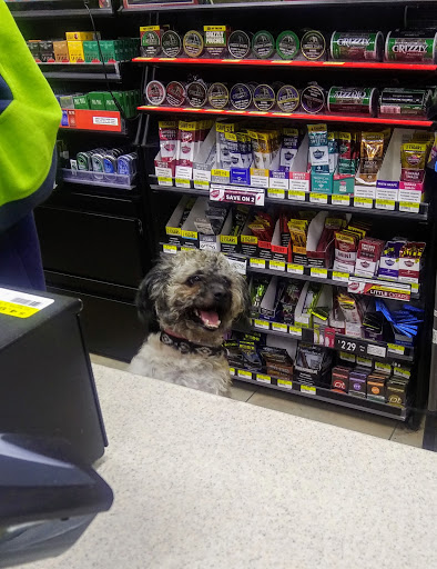 Convenience Store «Jacksons Food Stores», reviews and photos, 12221 NE 124th St, Kirkland, WA 98034, USA