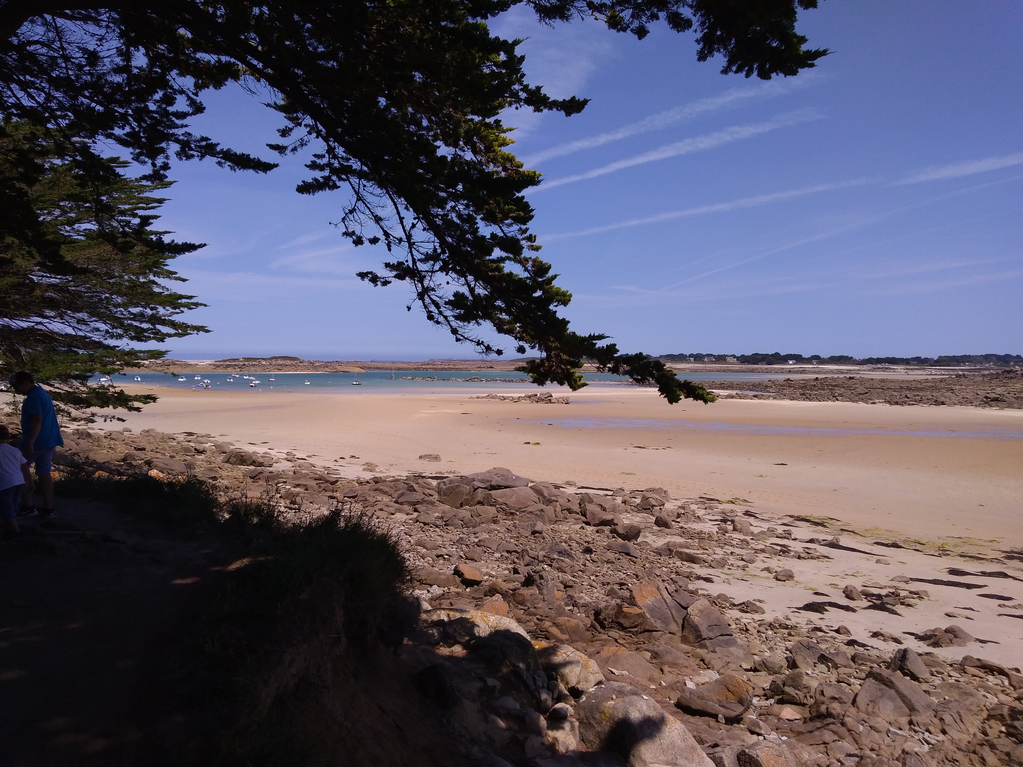 Photo n° 9 de l'avis de Francois.u fait le 26/07/2019 à 16:45