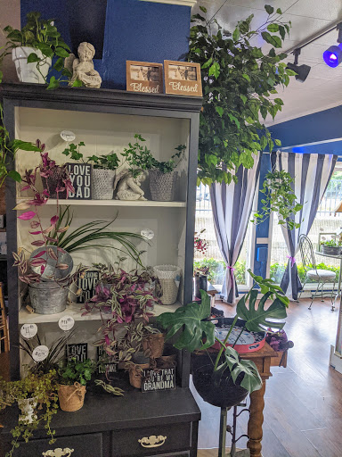 Florist «Seatac Buds & Blooms», reviews and photos, 16445 International Blvd, SeaTac, WA 98188, USA