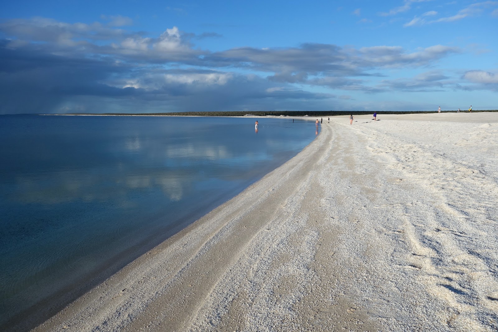 Shell Beach photo #8