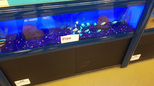 Pet Supply Store «Petco Animal Supplies», reviews and photos, 2435 N Hwy 67, Florissant, MO 63033, USA