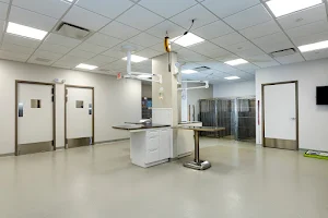 Bayside Animal Medical Center image