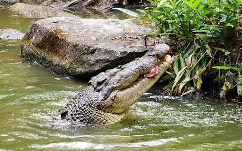 Hartley's Crocodile Adventures image