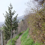 Photo n°1 de l'avis de Sandra.a fait le 01/04/2024 à 09:14 sur le  Hotel Hubertus à Villanders