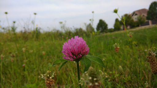 Park «Mather Woods Forest Preserve», reviews and photos, 25032 W Renwick Rd, Plainfield, IL 60544, USA