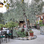 Photo n°1 de l'avis de Thomas.e fait le 12/09/2023 à 15:18 sur le  Osteria Da Livio à Limone sul Garda