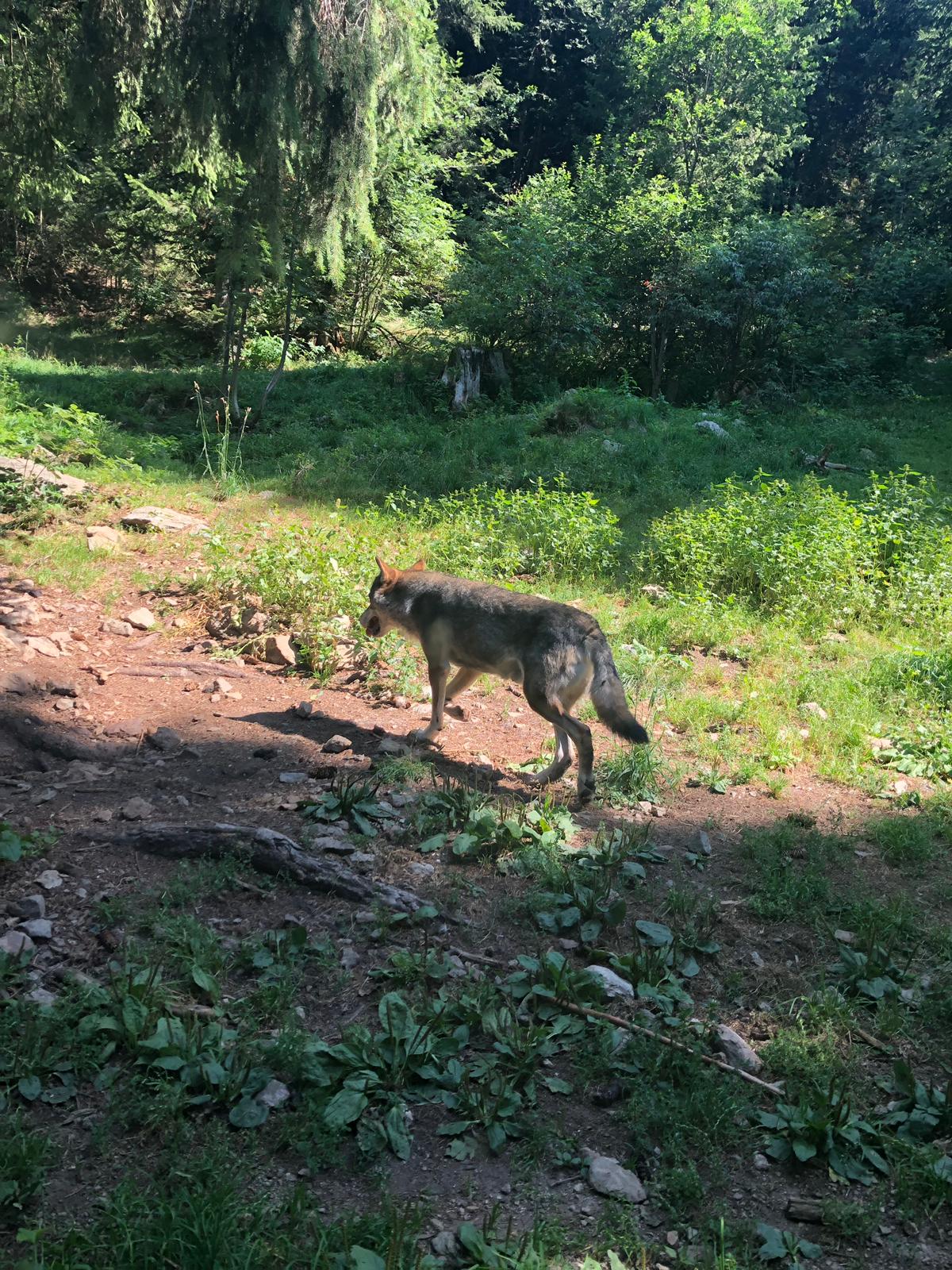 Photo n° 2 de l'avis de stephane.e fait le 20/08/2019 à 08:56