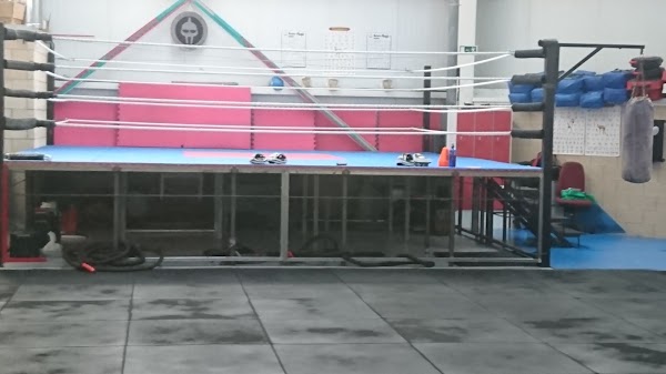 Imagen de KNOCK OUT CLUB (2 de 7)