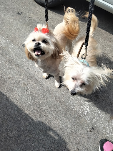 Pet Groomer «Woof Gang Bakery Rockwall», reviews and photos, 832 Steger Towne Rd, Rockwall, TX 75032, USA