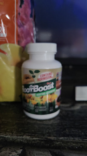 Hardware Store «South Orange Ace Hardware», reviews and photos, 9689 S Orange Blossom Trail, Orlando, FL 32837, USA