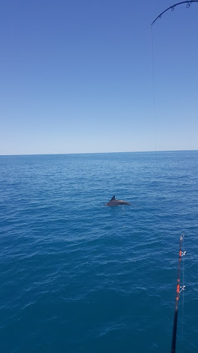 Fishing Charter «Miss Virginia Deep Sea Fishing», reviews and photos, 7847 Bayview St, Port Richey, FL 34668, USA