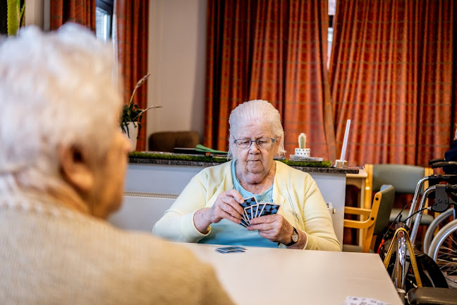 Comentarii opinii despre WZC Privilege