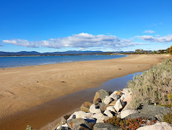Freers Beach'in fotoğrafı #44 ile birlikte