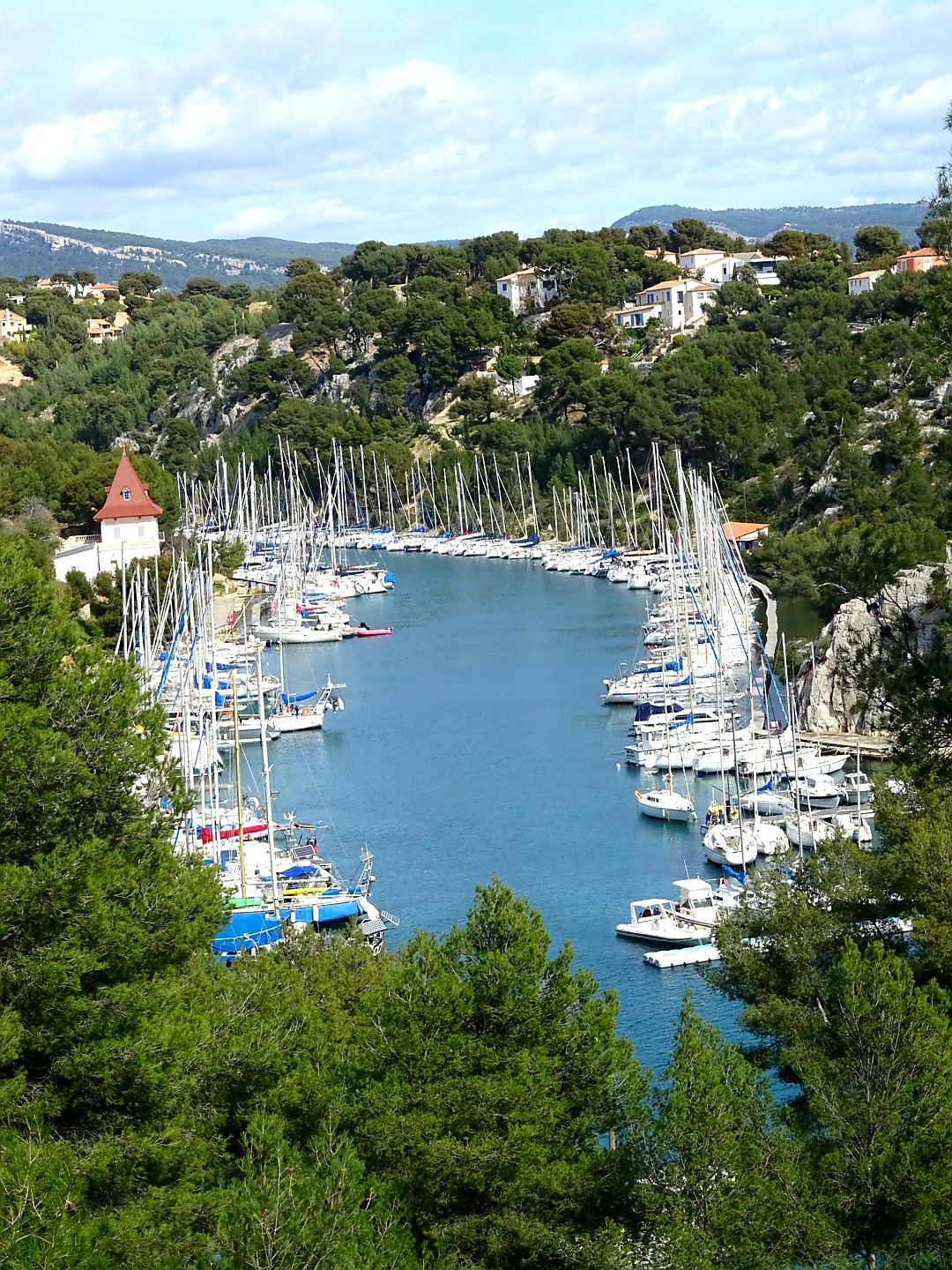 Photo n° 49 de l'avis de Islas.a fait le 27/03/2021 à 17:41