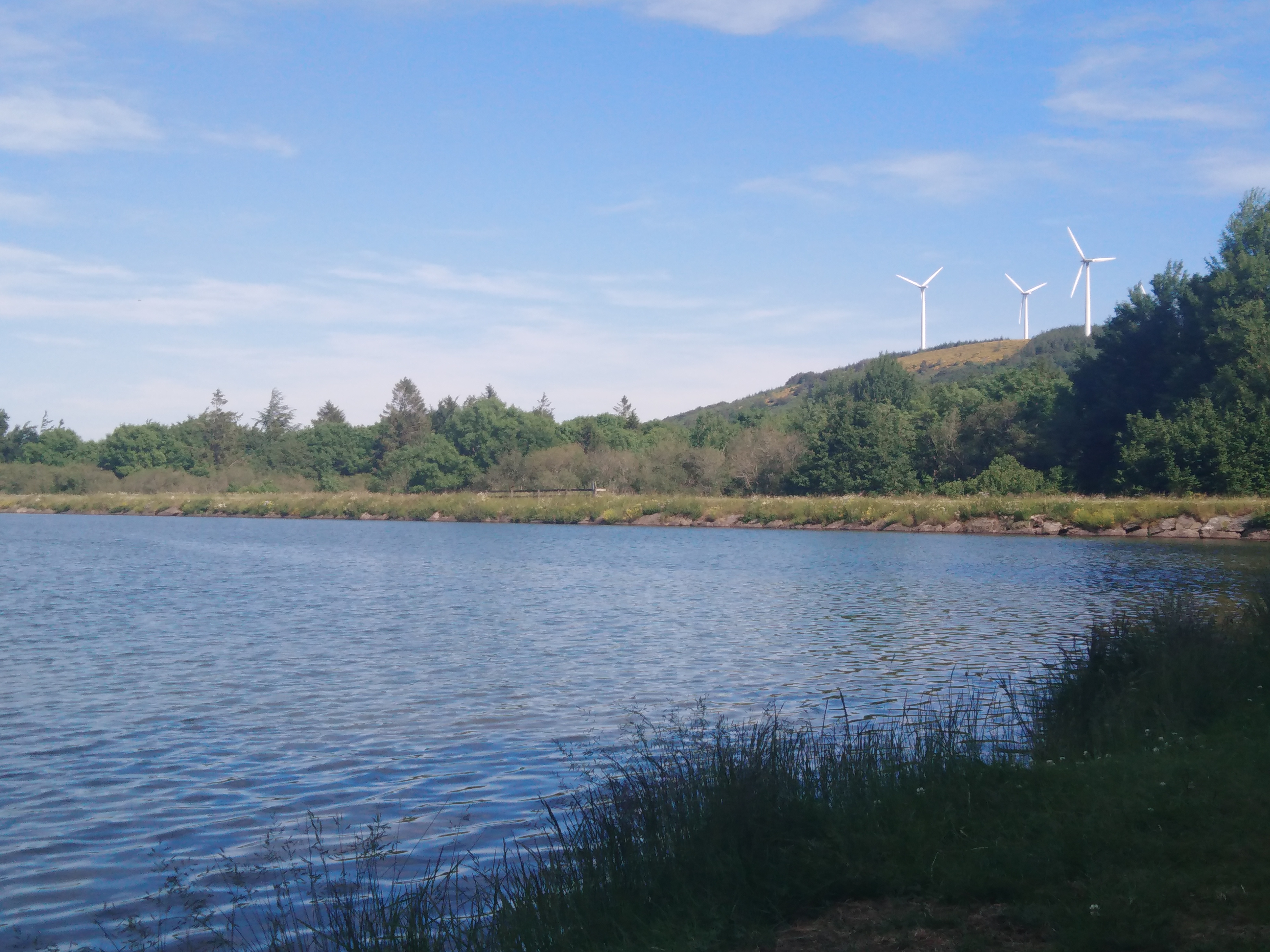 Photo n° 2 de l'avis de Di.i fait le 23/06/2019 à 17:03
