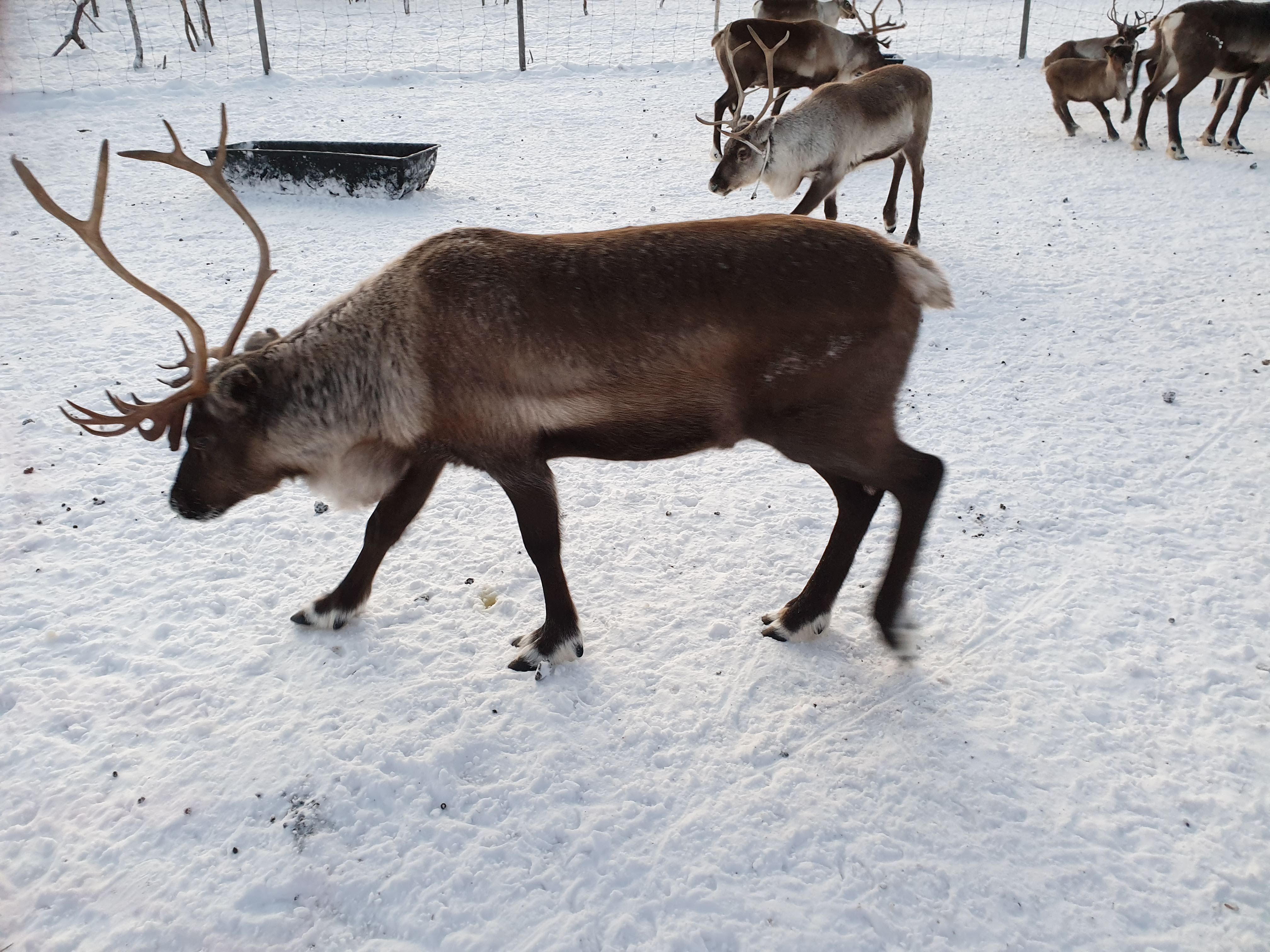 Photo n° 5 de l'avis de Agnès.h fait le 20/01/2020 à 08:03