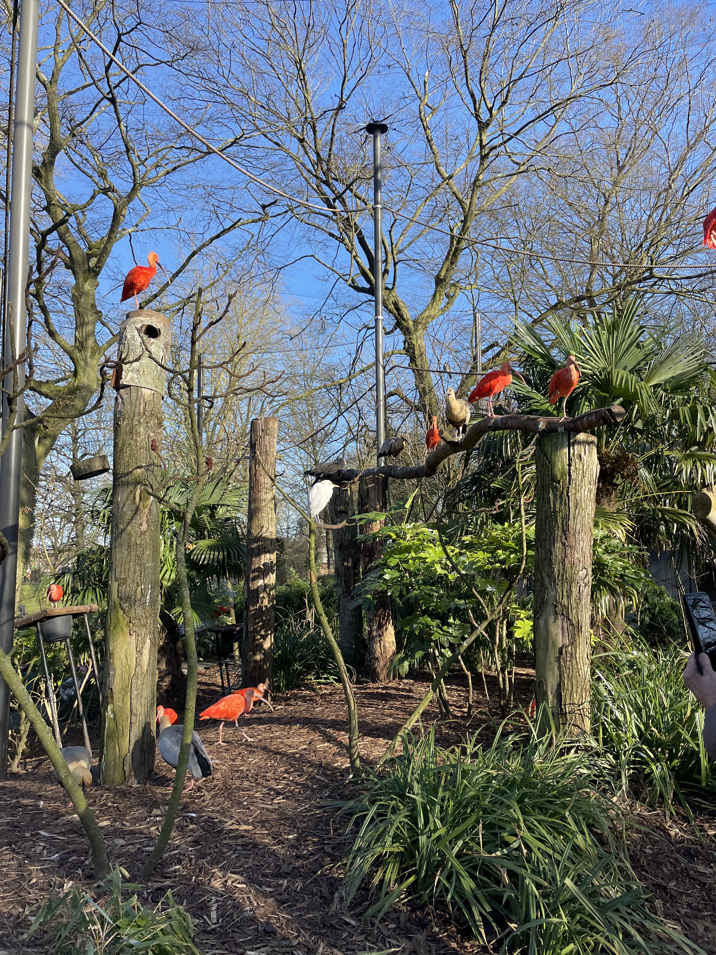 Photo n° 4 de l'avis de Valentine.t fait le 07/02/2022 à 20:13