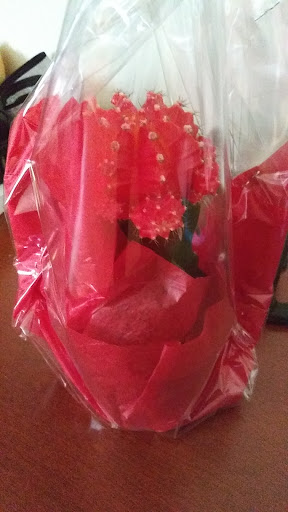 Florist «Jerome Florist & Gifts», reviews and photos, 3724 E Tremont Ave, Bronx, NY 10465, USA