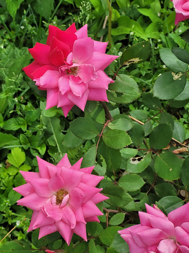 Home Improvement Store «The Home Depot», reviews and photos, 4181 Veterans Memorial Dr, Batavia, NY 14020, USA