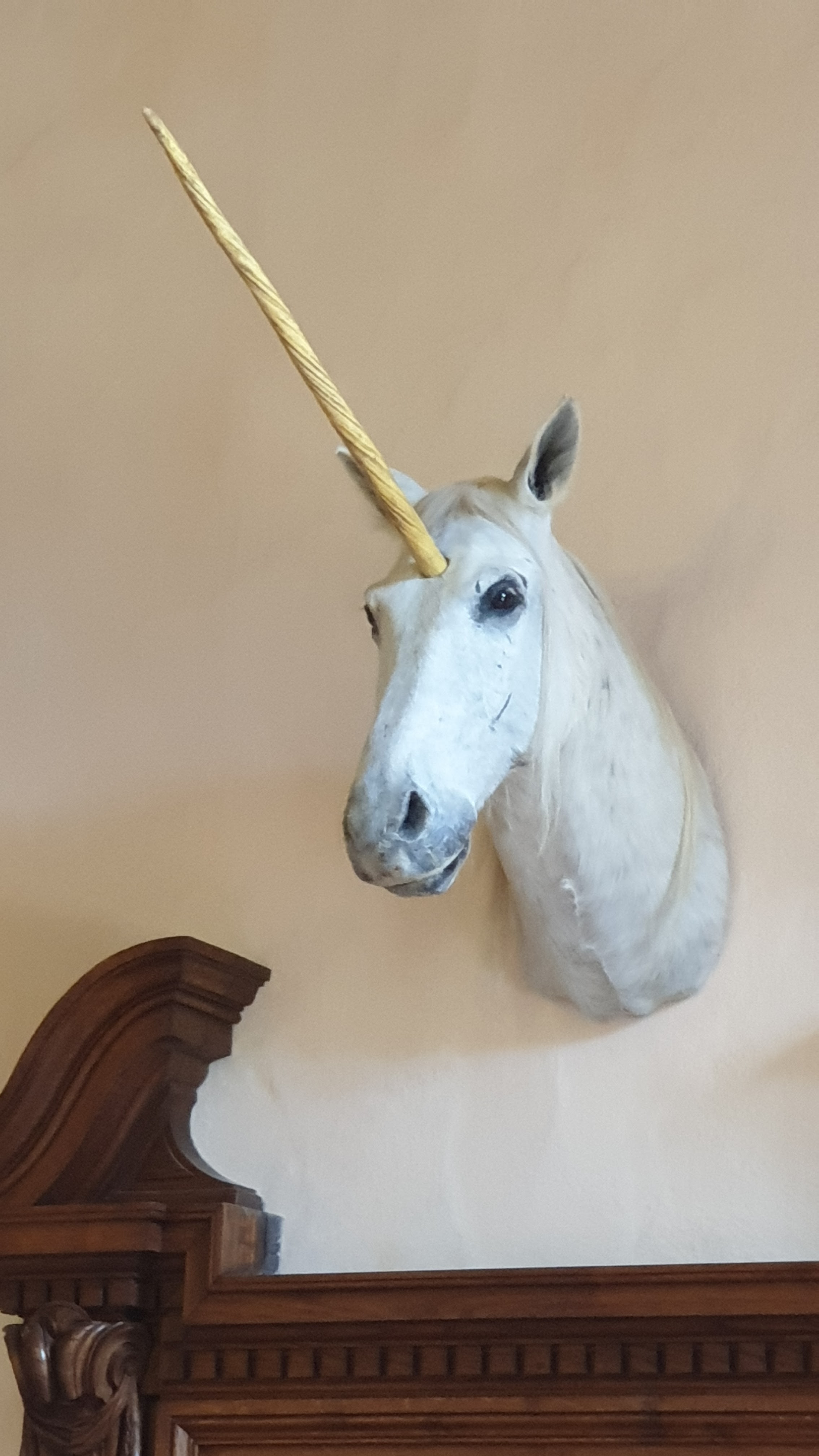 Photo n° 6 de l'avis de Trino.e fait le 05/08/2022 à 08:06