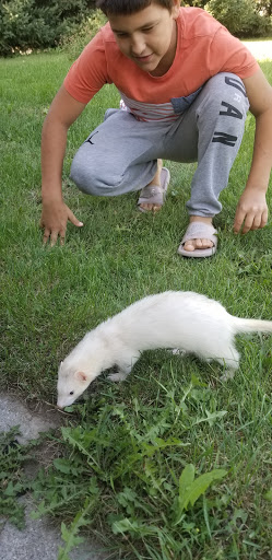 Pet Supply Store «Petco Animal Supplies», reviews and photos, 4950 S 76th St, Greenfield, WI 53220, USA