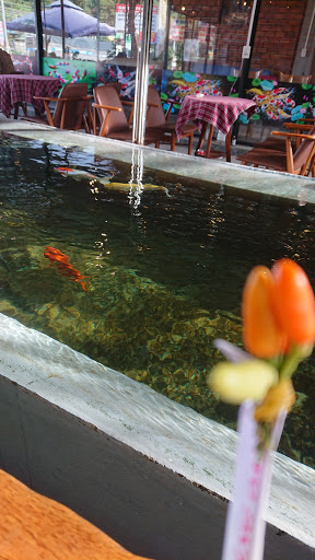 Top 20 cửa hàng cá koi Huyện Kiến Thụy Hải Phòng 2022