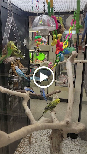 Pet Supply Store «Petco Animal Supplies», reviews and photos, 475 S Wadsworth Blvd, Lakewood, CO 80226, USA