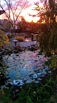 D'Alessandro's Nursery & Garden Center - Photo 4 - Car repair in Frankfort, NY, Utica