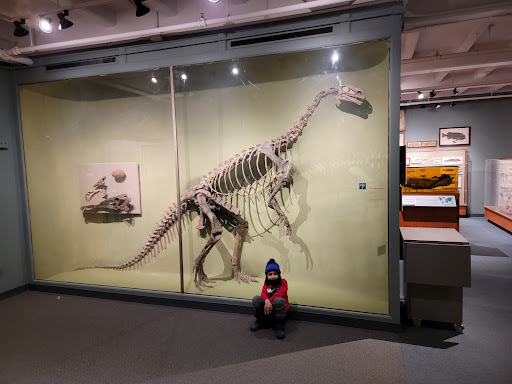 Natural History Museum «Harvard Museum of Natural History», reviews and photos, 26 Oxford St, Cambridge, MA 02138, USA