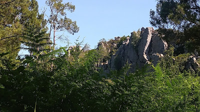 Forêt Communale d'Argol à Argol