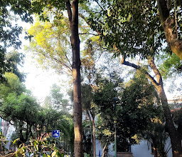 Parque Morelos photo