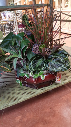 Florist «Viviano Flower Shop», reviews and photos, 50626 Van Dyke, Shelby Charter Township, MI 48317, USA