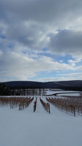 Winery «Galen Glen Winery», reviews and photos, 255 Winter Mountain Dr, Andreas, PA 18211, USA