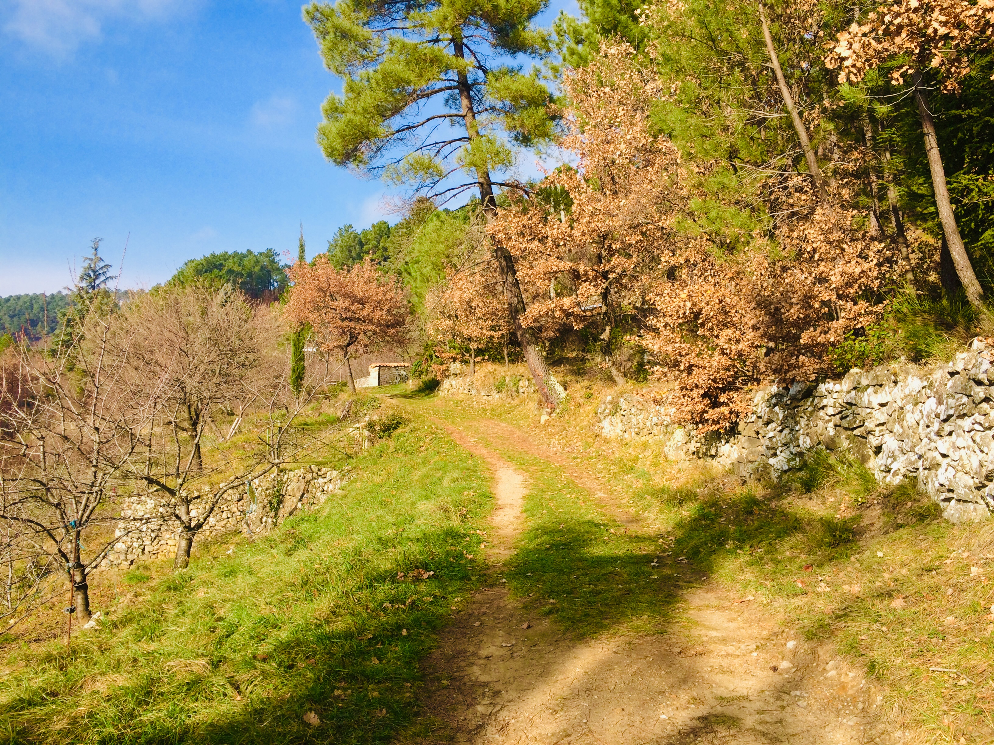 Photo n° 9 de l'avis de HELENE.N fait le 05/01/2019 à 11:51