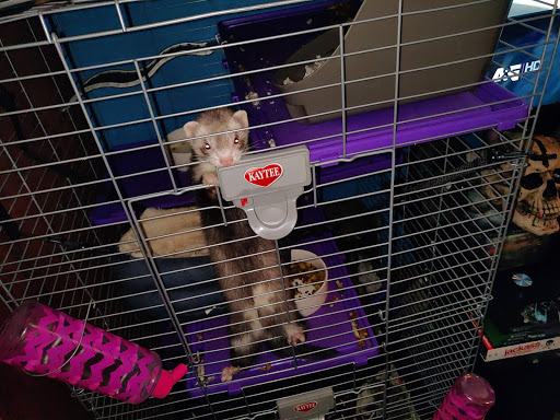 Pet Supply Store «Petco Animal Supplies», reviews and photos, 5006 NY-23 #1b, Oneonta, NY 13820, USA