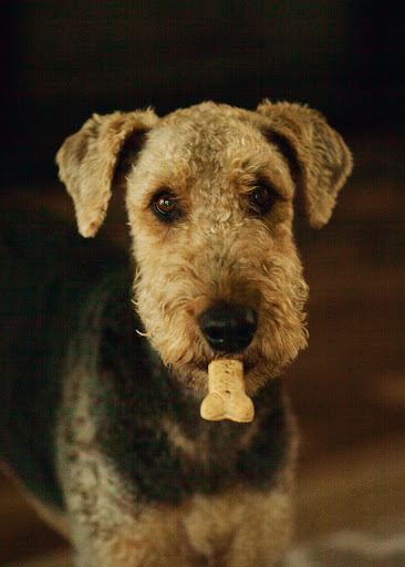 Personal Injury Attorney «Allen Law Firm, P.A.», reviews and photos