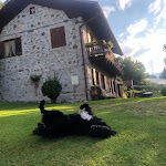 Photo n°6 de l'avis de Roberto.e fait le 21/09/2020 à 06:58 sur le  Baita Miralefre 022240-AT-068565 à Samone