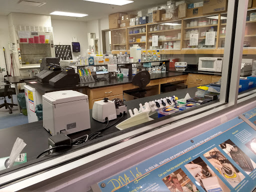 Natural History Museum «Florida Museum of Natural History», reviews and photos, 3215 Hull Rd, Gainesville, FL 32611, USA