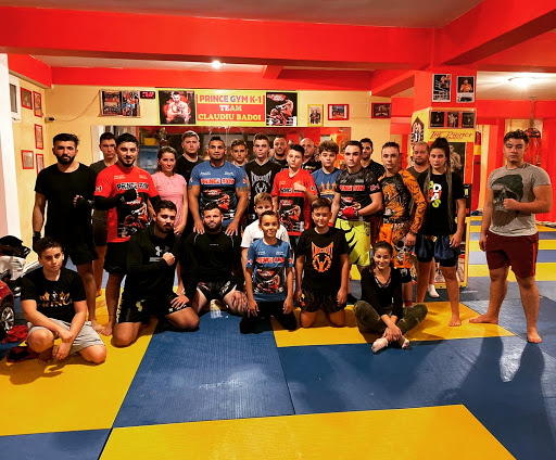 PRINCE GYM K-1 Sala MMA Sector 6, Bucuresti. Instructor K1, Kickboxing