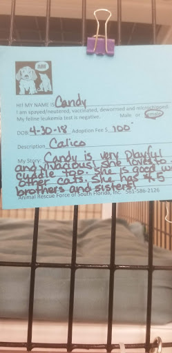 Pet Supply Store «Pet Supplies Plus», reviews and photos, 5960 Jog Rd Suite A, Lake Worth, FL 33467, USA