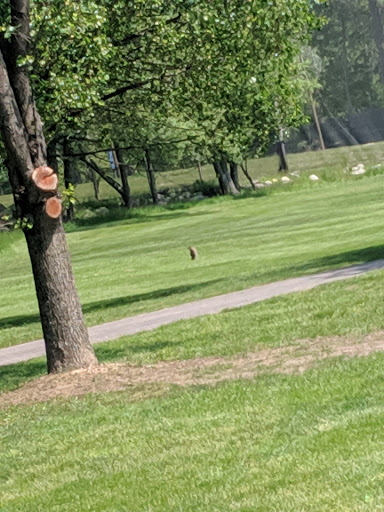 Public Golf Course «Mohansic Golf Course», reviews and photos, 1500 Baldwin Rd, Yorktown Heights, NY 10598, USA