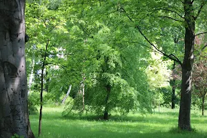 Park Dalovice image